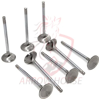 TAH Wholesale Factory Price Engine Intake Exhaust Valves for MG3 MG5 MG6 MG7 HS RX5 6 Hatchback