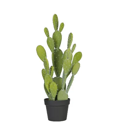 Large Cactus Plant Bonsai Cactus and Succulent Nursery Artificial Greenery