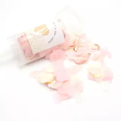 Hot Sale Handheld Push Biodegradable Disposable Wedding Holiday Party Confetti Cannon Mini Celebration Paper Salute