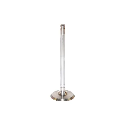 Engine Intake Exhaust Valve for Deutz 4153629 2137300 4159140 4159139 4284042 4284043 4150036 4153631 4153696 4153697 0949.A8
