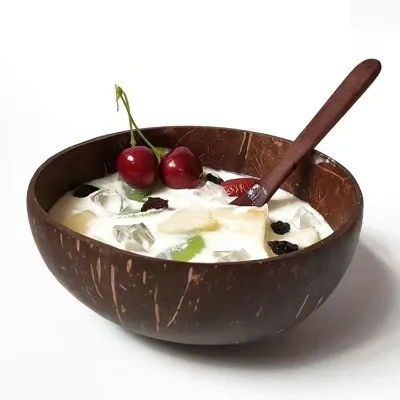Natural eco-friendly handmade coconut shell bowl small salad bowls wood