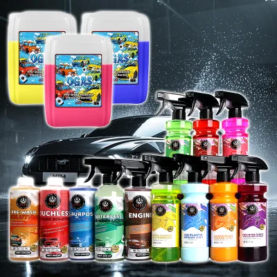 Professional 12Pcs Car Wash Care Kit - Pre-Wash, Wheel & Engine Cleaner Set Interior & Exterior Cleaning Bundle OEM/ODM