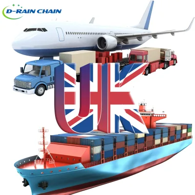 FBA Sea Shipping Agency DDP Logistics Top10 Freight Forwarder 24/7 Support Sea Freight Cargo Service From China