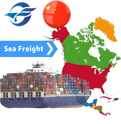 20 Years Experience International Door-to-Door DDU Air Freight Forwarder Logistics Shipping Agents Fast Delivery LCL+Express