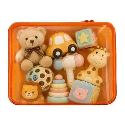 SYY Hard Shell Plastic Clear ,Transparent Travel Hard Zipper Case