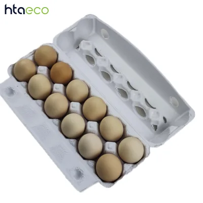 Molded Pulp Packaging Supplier for Dry Pulp Molded Tray Packaging and Custom Industrial Molded Paper Pulp Packaging