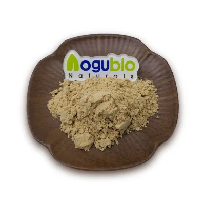 ISO Certification Supply Gynostemma Extract Gynostemma Extract 98% Total Saponins Powder