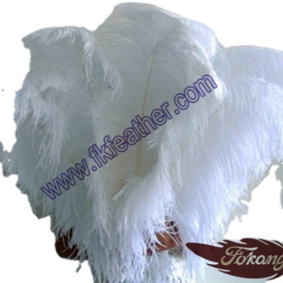 Wholesale Factory Feather Supplier 65-70cm Large Plumes Ostrich Feather