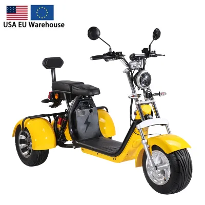 1500W 20Ah Fat Tire Electric Tricycle Display Racks Three Wheel Electric Scooter Motorcycle City Coco