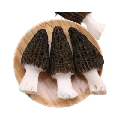Hot Selling Dried and Fresh Morel Mushroom High Quality Cultivated Morchella Whole Part Raw and Dried Processing Box Packed
