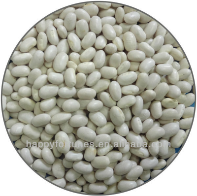 Japanese Type White Kidney Beans 2014 Crop