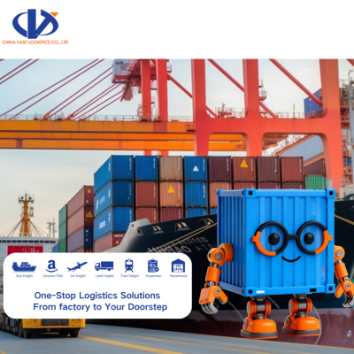 Good Rate Cargo Agent Logistics Company From Qingdao Shanghai to FREMANTLE AUCKLAND Container Shipping Agent SEA SHIPPING
