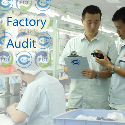 Professional Inspector Auditor