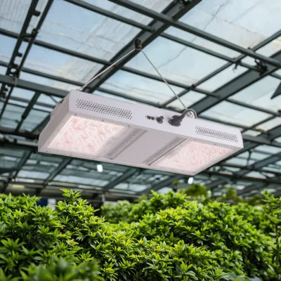 1930Pro Dimmable Indoor 720W Full Spectrum LED Grow Light High PPFD Waterproof HPS Replacement with Aluminum Body