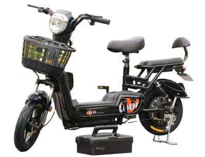 China Factory 48v Fat Tire Electric Bike Long Duration Adult Electric Motor Bike
