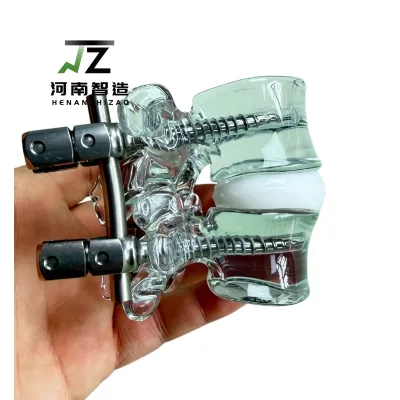 Transparent Lumbar Spine Model for Lumbar Fusion & Internal Fixation Medical Orthopedic Lumbar Fracture Surgery Simulator