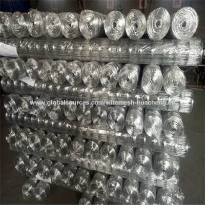 Cheap price galvanized welded wire mesh for building