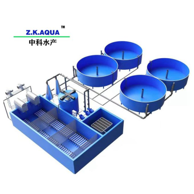 Pisciculture Other Aquaculture Equipment RAS System for Fish Farming