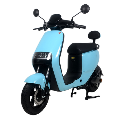 Long-Range Electric Bike 48V/60V/72V Electric Bicycle With Rear Disc Break Electric Bike 3.00-10 Wheels Electric Bicycle