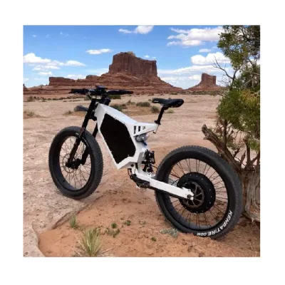 2021 48v Battery for Electric Bike 3000w/dirt Bike Motorcycle Wheelie Trainer Cage Off-road Training