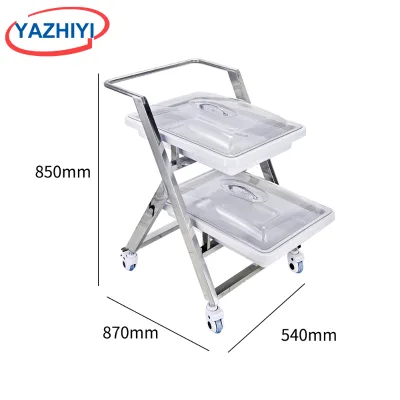 YAZHIYI Stainless Steel Class I Endoscope Trolley Two Sealed Trays 75kg Load Capacity for Hospital Clinic Medical Instrument