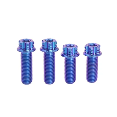 Factory Price Titanium Screws M10 Titanium Bolt GR5 Colorful Titanium Flange Bolts