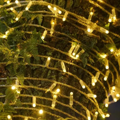 Waterproof IP65 Outdoor Rechargeable Battery-Powered 10M LED Display Screen String Lights Dimmable Feature for Party Decoration