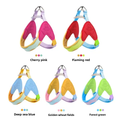 Summer Colorful Breathable Mesh Soft Polyester Padded Y-shaped Saddle Dog Harness with Leash for Small and Medium Dogs