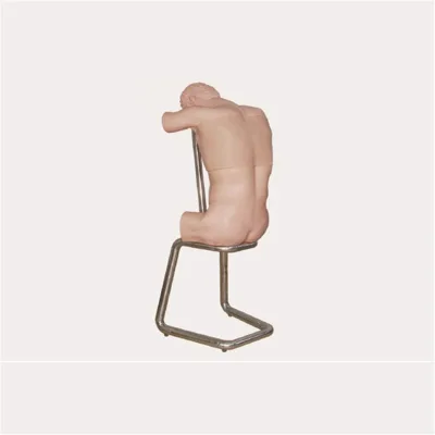 BIX-CK812 Medical Science Electronic Thoracic and Lumbar Puncture Training Manikin