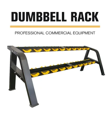 Hot Selling Two Tier Dumbbell Rack Heavy Duty Commercial Dumbbell Storage Rack Gym Dumbbell Holder Organizer OEM Supported