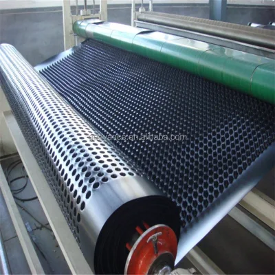 Polymer Building Materials Hdpe Drainage Board Waterproof System Drainage Core Used for Roof Garden Waterproof and Drainage