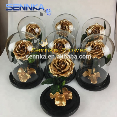 2024 Hot Sale Good Price Ecuadorian Preserved Eternal Rose Real Golden Roses in Glass