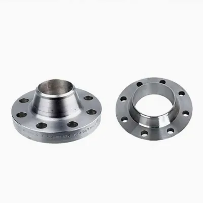 EN 1092-1 316L Stainless Steel 16 Inch DN400 PN40 Weld Neck Flange Mariculture System