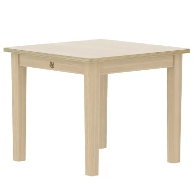 EMA Modern Kindergarten Toddler Wooden Child Sensory Reading Study School Desk Table