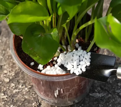 Competitive Price Lightweight Aggregate Material Made From Perlite 4-8mm China Large Perlite Expanded Perlite Price Agriculture
