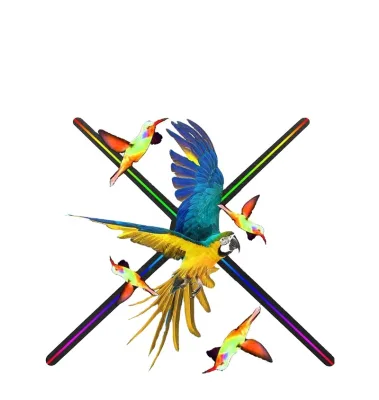 Hot Sale Wireless 42cm Naked Eye 3D Holographic Display Fan Aerial Imaging Hologram Projector Moveable