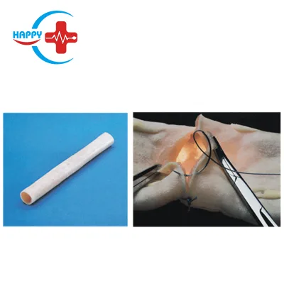 HC-S545 Medical Teaching Science Intestinal Anastomosis Training Model