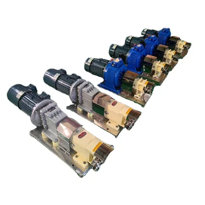 Food Grade Stainless Steel 304/316L Pump Rotary Vane Pump for Grease Gel Syrup Shampoo Chocolate Viscous Ketchup Liquid