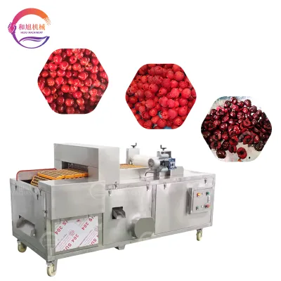 Cherry Coring Machine Automatic Cherry Pit Removing Machine Sour Cherry Pitting Machine