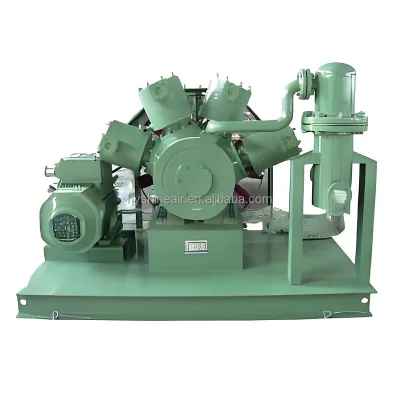 Oil-Free Unusual Gas Compressor 2-500 Nm³/h 0.2-16.5 Mpa Helium Methane Ammonia Freon CO Carbon Dioxide Reciprocating Compressor