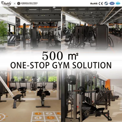 Gym Equipment Factory Wholesale High Quality Strength Training Machines Muscle Exercise Commercial Fitness Center CE Certified