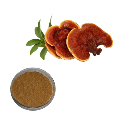 HONGDA Supply High Quality Ganoderma Extract Ganoderma Lucidum Extract Ganoderma Extract Powder