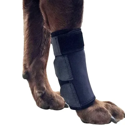 OEM Custom Pet Accessories Knee Compression Brace Wrap Helps Dogs Protect Wounds Heals Prevents Injuries & Sprains