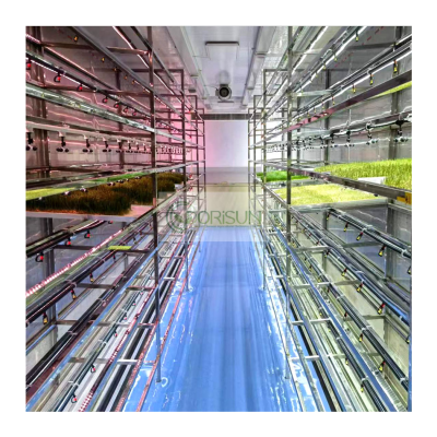 Large Agricultural Greenhouse Container Plant Farm Hydroponic Smart Factory Made of PE Material
