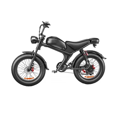20INCH Bicycle Top Factory Fat Tire Bike Double Disc Brake Mountain Bike Vintage Fat Tire Bike
