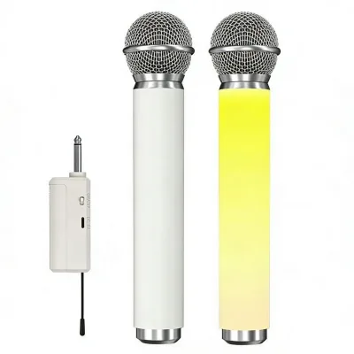 New Arrival Professional Dynamic RGB Lightning Wireless Handheld Conference Microphone 2.4G Portable Noise Cancelling 30M Range
