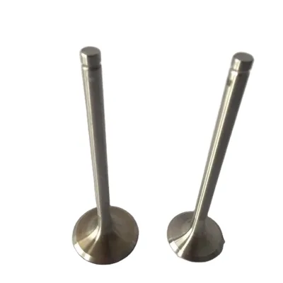 Engine Parts 4153631 4153696 4153697 Engine Valve Used for deutz BF6L912 FL912 Turbo for Sale