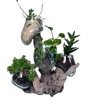 Molten Glass Driftwood Terrarium Aquarium Rectangle Hanging Glass Terrarium Supplies Moss Garden Kit for Women
