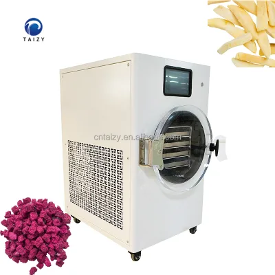 Automatic Stainless Steel Vacuum Freeze Dryer for Orange Pineapple