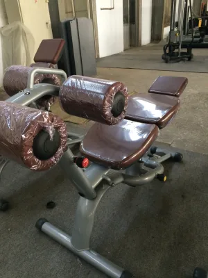 Professional Adjustable Strength Training Fitness Abdominal Training Chair Strength Training